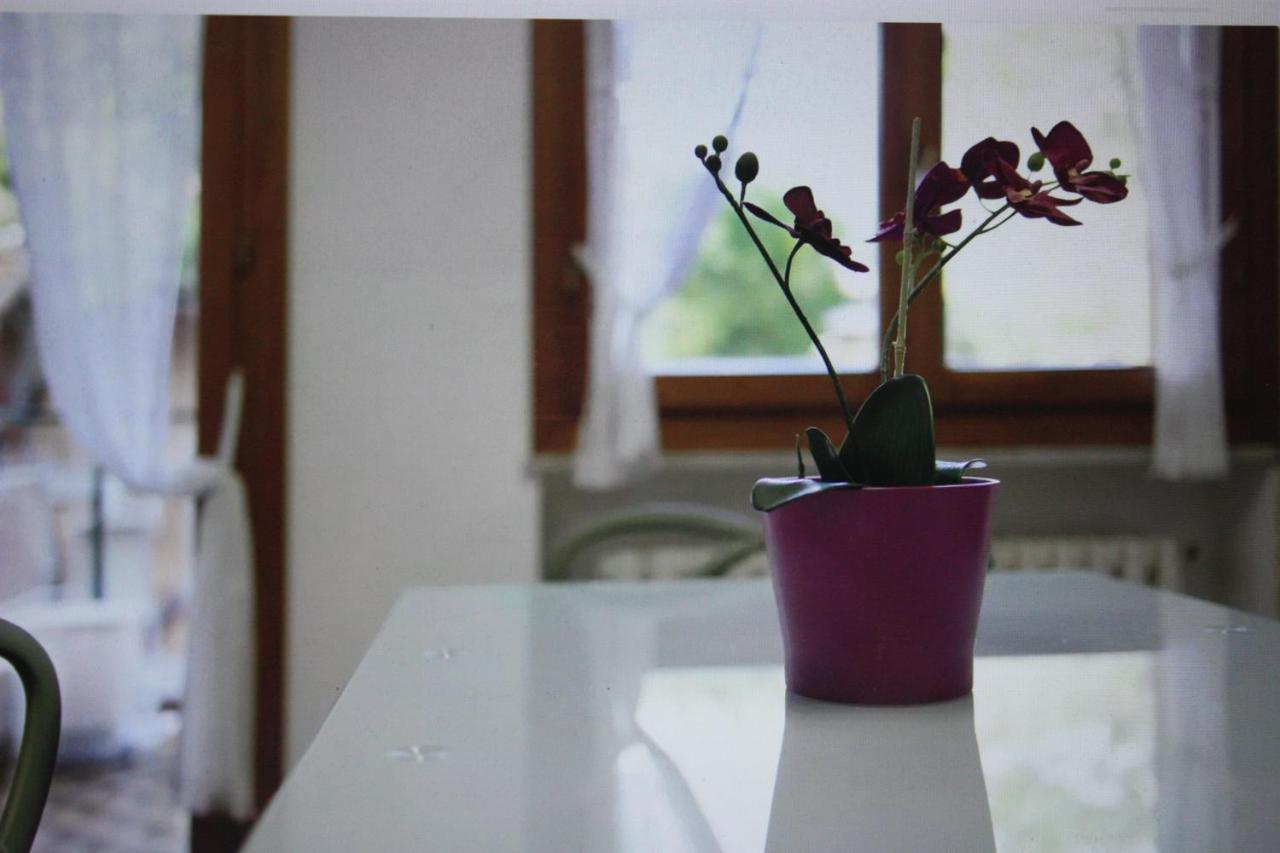 Apartment Monolocale
